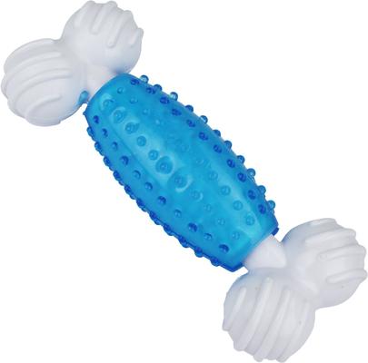 Show full view: Multipet Canine Clean Mint Bone Tough Dog Chew Toy, Blue slide 1 of 4