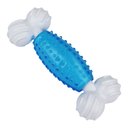 Multipet Canine Clean Mint Bone Tough Dog Chew Toy, Blue