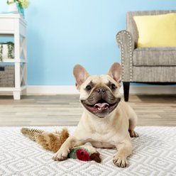 Multipet Empty Nester Squeaky Stuffing-Free Plush Dog Toy, Pheasant slide 2 of 5