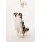Show in main carousel: Multipet Lamb Chop Knobby Noggins Squeaky Plush Dog Toy, 5-in slide 2 of 4