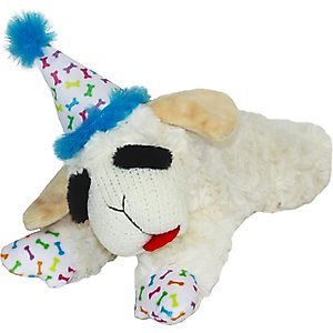Multipet Lambchop Birthday Hat Squeaky Plush Dog Toy, Blue, 7.5-in