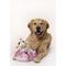 Show in main carousel: Multipet Lambchop Birthday Hat Squeaky Plush Dog Toy, Pink, 6-in slide 2 of 3