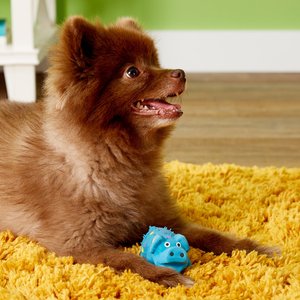 Multipet Latex Polka Dot Globlet Squeaky Pig Dog Toy, Color Varies, 4-in, 1 count