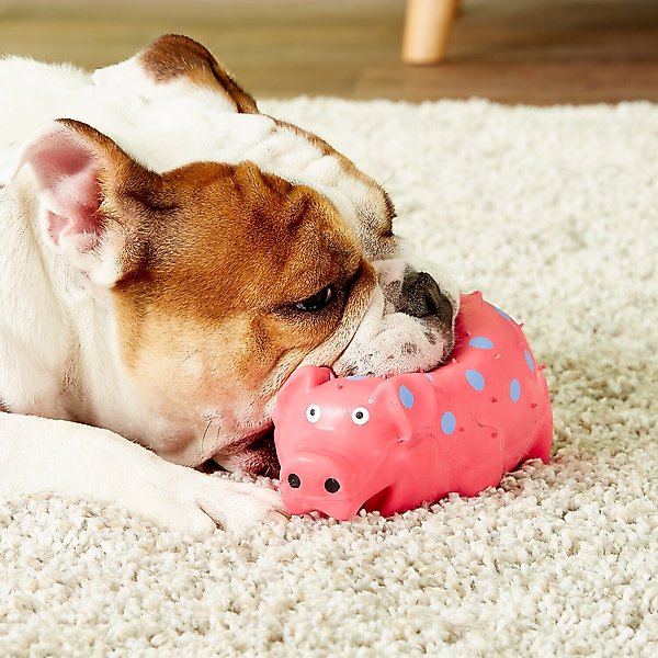 Multipet Latex Polka Dot Globlet Squeaky Pig Dog Toy