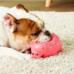 Multipet Latex Polka Dot Globlet Squeaky Pig Dog Toy, Color Varies, 9-in