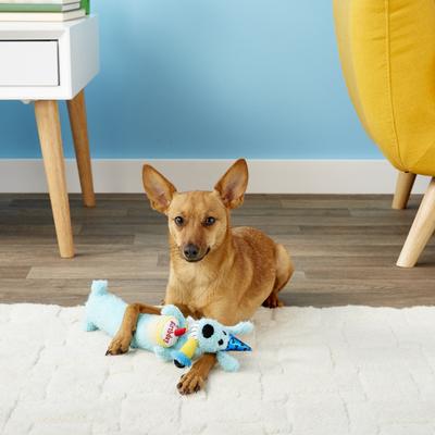 Show full view: Multipet Loofa Birthday Squeaky Plush Dog Toy, Color Varies, 12-in slide 5 of 9