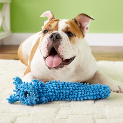 Show full view: Multipet Loofa Floppy Light-Weight Squeaky Stuffing-Free Dog Toy, Color Varies, 12-in, 1 count slide 2 of 5