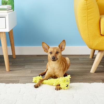 Show full view: Multipet Loofa Floppy Light-Weight Squeaky Stuffing-Free Dog Toy, Color Varies, 12-in, 1 count slide 3 of 5