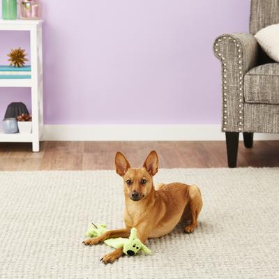 Show full view: Multipet Loofa Light-Weight Squeaky Stuffing-Free Dog Toy, Color Varies, Small slide 3 of 7