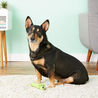 Show full view: Multipet Loofa "Ruff" Latex Squeaky Dog Toy, Color Varies slide 5 of 8