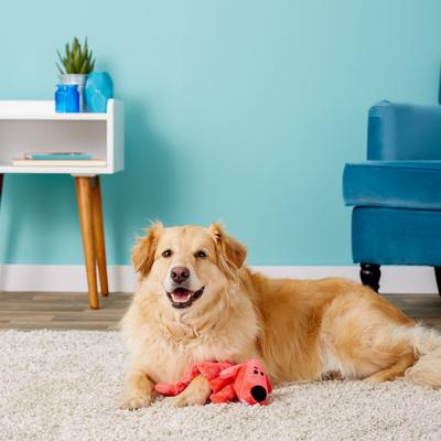 Show full view: Multipet Loofa Squeaker Mat Soft Plush Dog Toy, Color Varies, 12-in slide 2 of 9