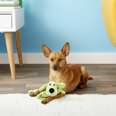 Show full view: Multipet Loofa Squeaker Mat Soft Plush Dog Toy, Color Varies, 12-in slide 3 of 9