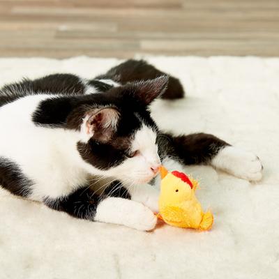 Show full view: Multipet Look Who's Talking Chicken Plush Cat Toy with Catnip slide 5 of 7