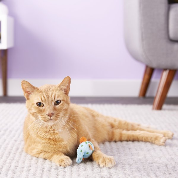 Multipet Look Who's Talking Plush Cat Toy with Catnip