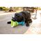 Show in main carousel: Multipet Margaritaville Margarita Glass Squeaky Plush Dog Toy, Blue, 8-in slide 4 of 5