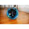 Show in main carousel: Multipet Margaritaville Tunnel Cat Toy, Blue, 35-in slide 3 of 4