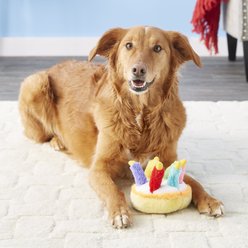 Multipet Musical Birthday Cake Plush Dog Toy slide 2 of 5