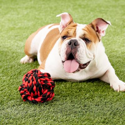 Show full view: Multipet Nuts for Knots Ball Dog Toy, Color Varies, Large slide 2 of 7