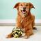 Show in main carousel: Multipet Nuts for Knots Ball Dog Toy, Color Varies, Large slide 3 of 7