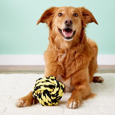 Show full view: Multipet Nuts for Knots Ball Dog Toy, Color Varies, Large slide 3 of 7