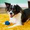 Show in main carousel: Multipet Nuts for Knots Ball Dog Toy, Color Varies, Small slide 4 of 7