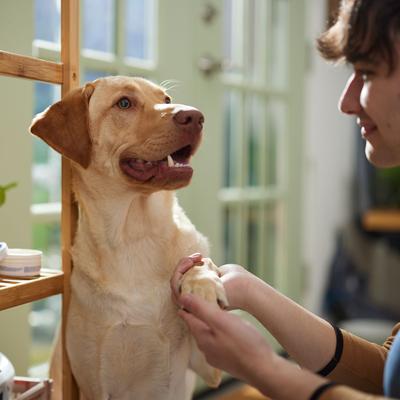 Show full view: Musher's Secret Paw Protection Natural Dog Wax, 60-g jar slide 5 of 7