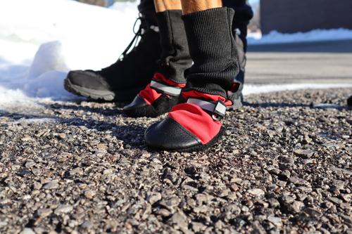 Show full view: Muttluks Original Fleece-Lined Winter Dog Boots, 4 count, Red, Small slide 3 of 7