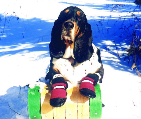 Show full view: Muttluks Original Fleece-Lined Winter Dog Boots, 4 count, Red, XX-Small slide 3 of 6