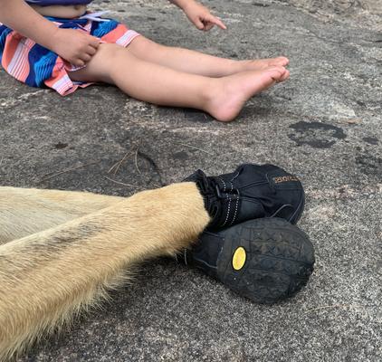 Show full view: Muttluks Trackers All-Season Dog Boots, Black, 2 count, 2 slide 3 of 7