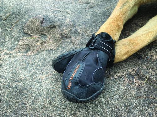 Show full view: Muttluks Trackers All-Season Dog Boots, Black, 2 count, 6 slide 4 of 7