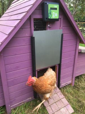 Show full view: MY CHICKEN DOOR Automated Chicken Coop Door Opener slide 1 of 4