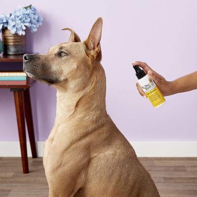 Show full view: My Dog Nose It! Coat & Body Spray, 4-fl oz bottle slide 4 of 12