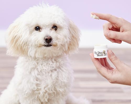 Show full view: My Dog Nose It! Dog Sun Protection Balm, 0.5-fl oz jar slide 4 of 11