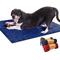 Show in main carousel: My Doggy Place Microfiber Dog Doormat, Blue, Large slide 3 of 9