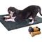 Show in main carousel: My Doggy Place Microfiber Dog Doormat, Charcoal, Large slide 3 of 9