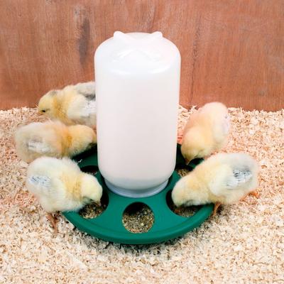 Show full view: My Favorite Chicken 7-Hole Chicken Feeder, 2-lb, Green slide 2 of 7
