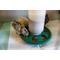 Show in main carousel: My Favorite Chicken 7-Hole Chicken Feeder, 2-lb, Green slide 3 of 7