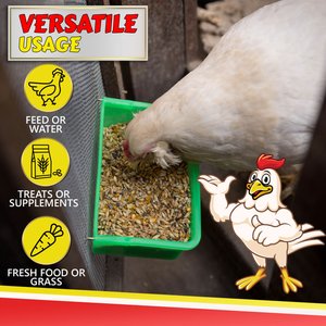 My Favorite Chicken Coop Cup Poultry Feeder, 27-oz