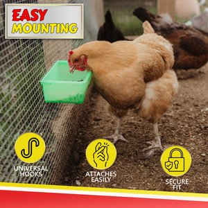 My Favorite Chicken Coop Cup Poultry Feeder, 27-oz