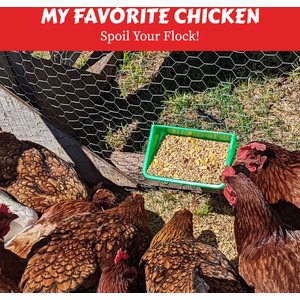 My Favorite Chicken Coop Cup Poultry Feeder, 27-oz