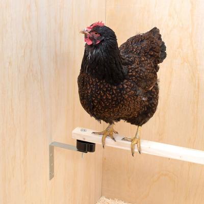 Show full view: My Favorite Chicken Coop Roost Perches Chicken Red Mite Prevention Kit slide 7 of 7