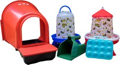 My Favorite Chicken Poultry Layer Starter Kit