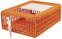 My Favorite Chicken Poultry Transport Crate