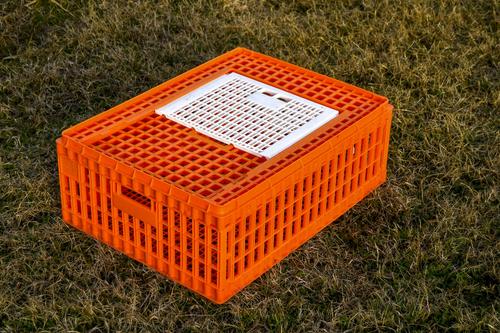 Show full view: My Favorite Chicken Poultry Transport Crate slide 3 of 5
