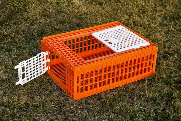 My Favorite Chicken Poultry Transport Crate