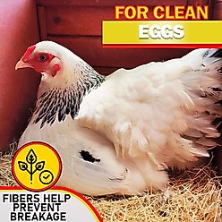 My Favorite Chicken Premium Natural Chicken Nesting Pads, 10 count slide 2 of 9