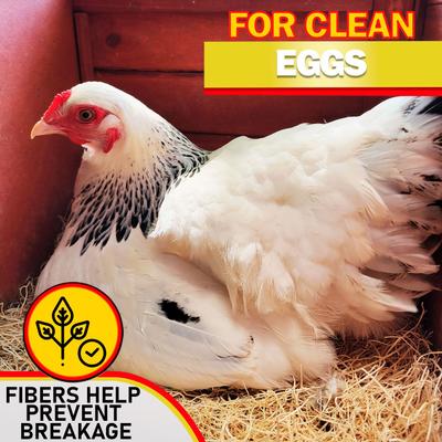 Show full view: My Favorite Chicken Premium Natural Chicken Nesting Pads, 10 count slide 8 of 9