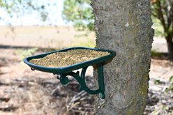 My Favorite Chicken Urban Garden Seed Tray Table Mountable Bird Feeder, Green slide 2 of 5