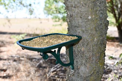 Show full view: My Favorite Chicken Urban Garden Seed Tray Table Mountable Bird Feeder, Green slide 2 of 6