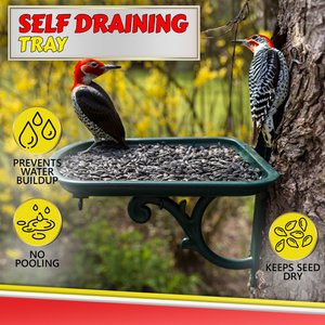 My Favorite Chicken Urban Garden Seed Tray Table Mountable Bird Feeder, Green